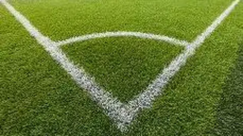 王思聪就半藏森林点评开战，与网友激烈互喷：你妈死了