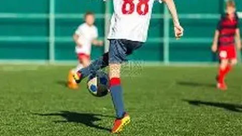 上海黄金交易所强调会员单位完善风险预案，确保市场稳定运行