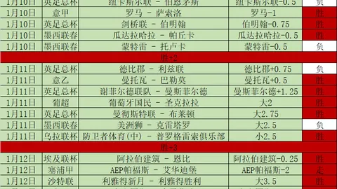 加拿大对美国关税挑衅做出内部改革应对措施